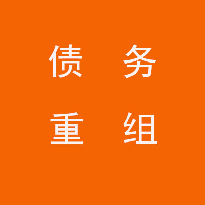 新兴个人债务重组优化
